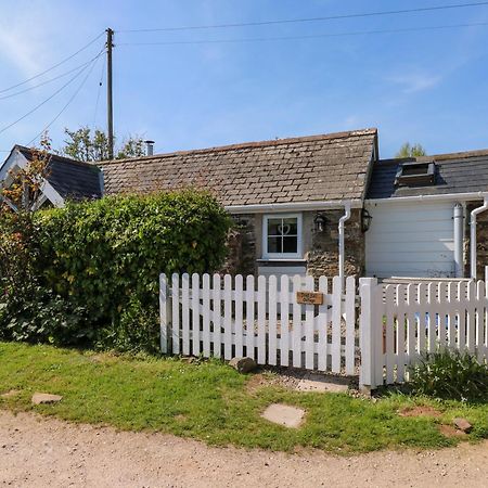 Toad Hall Cottage Totnes Exterior foto